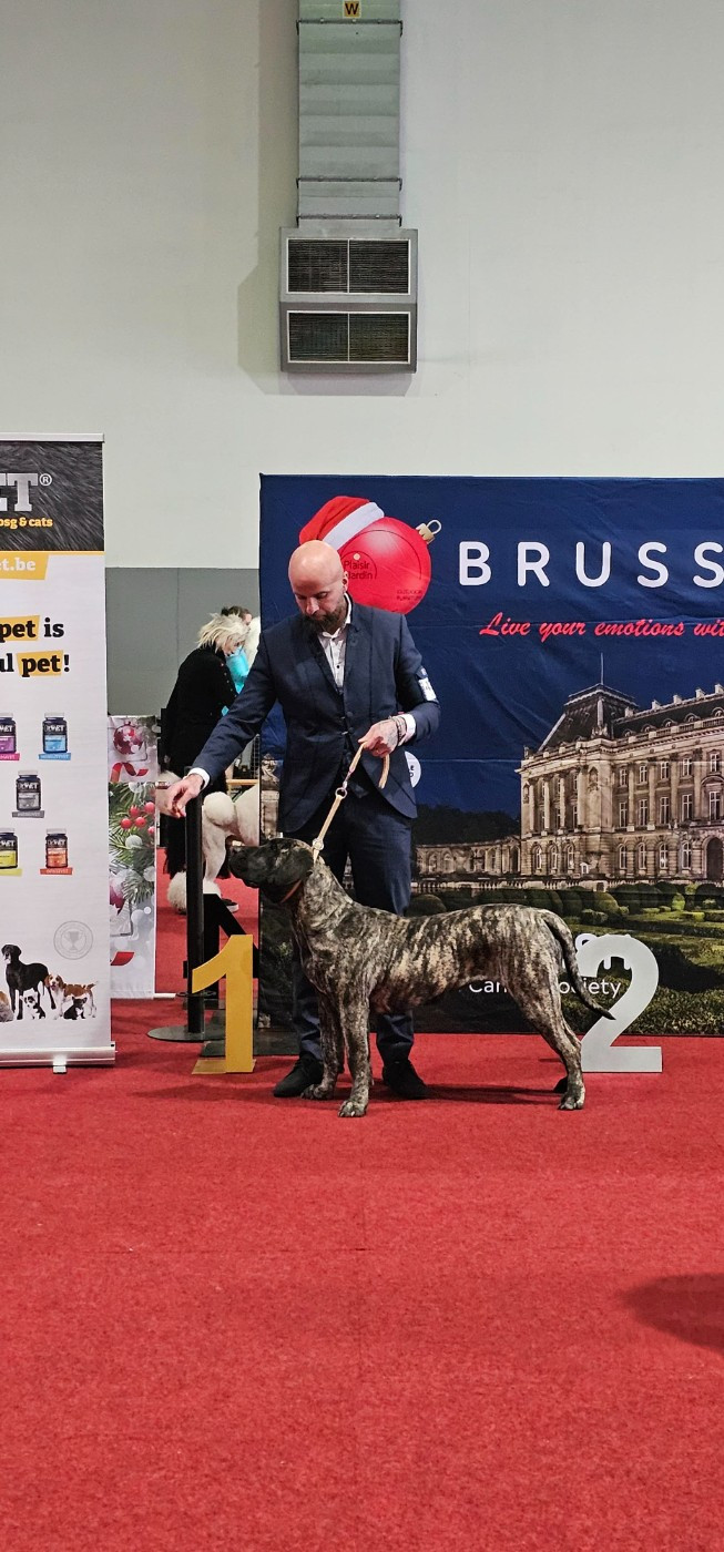 CH. Una bomba Du Royaume De Lutece