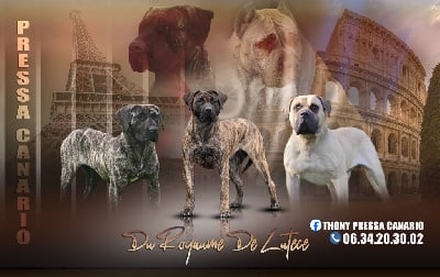 Du Royaume De Lutece