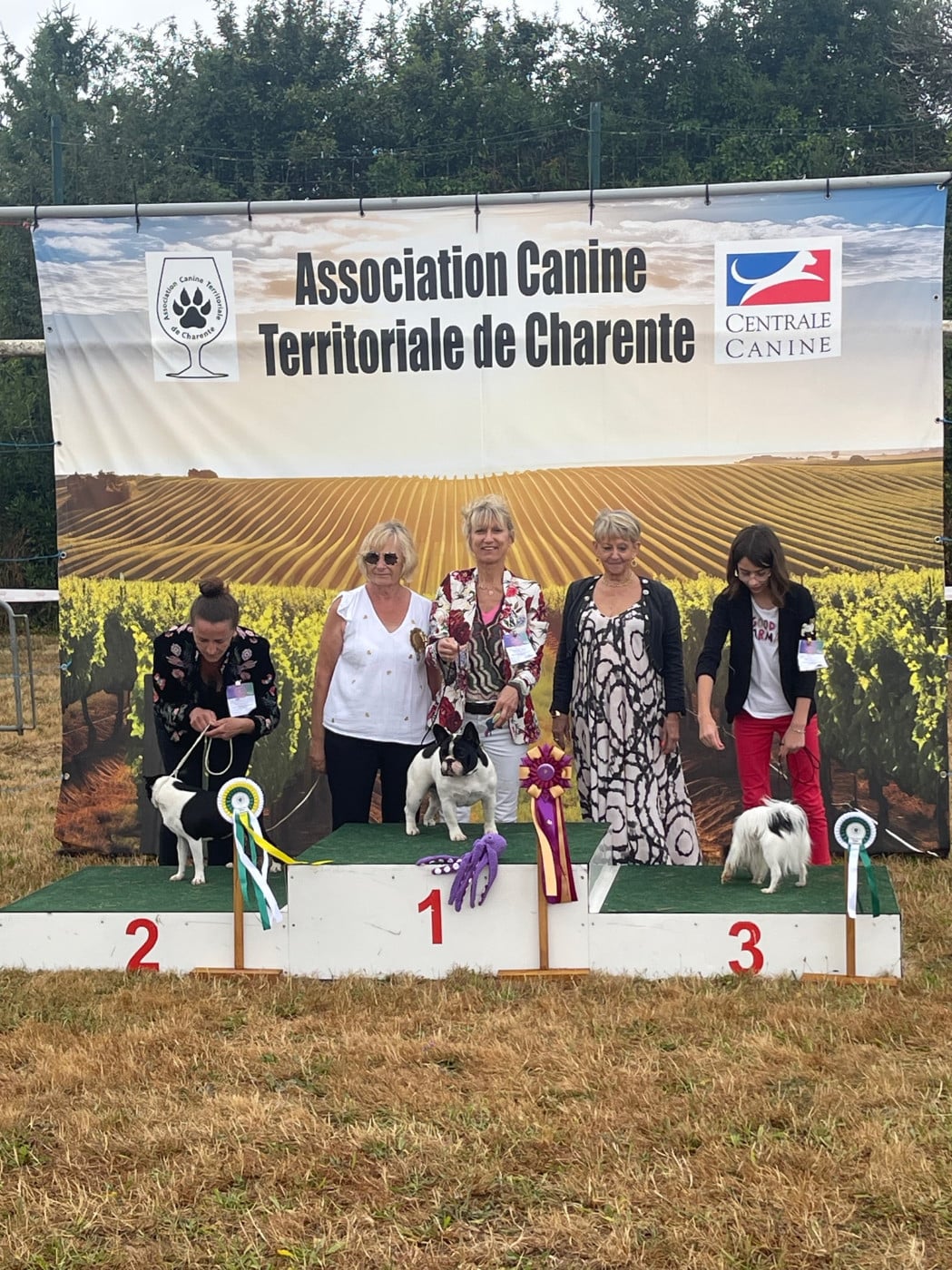 CH. VICTOIRE des Révélations Du Marais - TRES PROMETTEUR