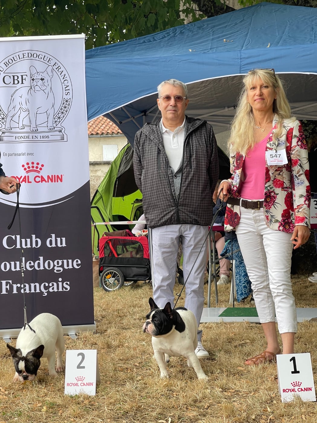 CH. VICTOIRE des Révélations Du Marais - 1ERE EXCELLENT- CACJ et MEILLEUR JEUNE