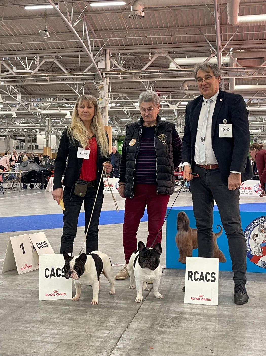 CH. VICTOIRE des Révélations Du Marais - 1ERE TRES PROMETTEUR