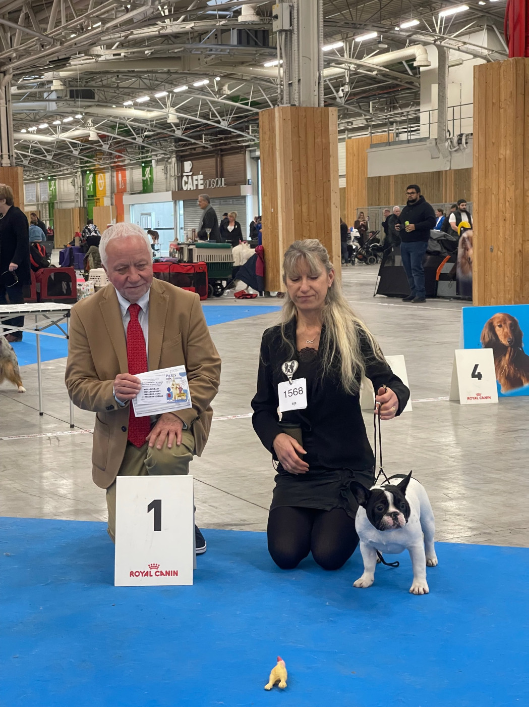 CH. VICTOIRE des Révélations Du Marais - 1ERE TRES PROMETTEUR - MEILLEUR BABY