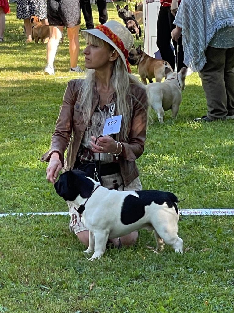 Sumotori des Révélations Du Marais - TRES PROMETTEUR