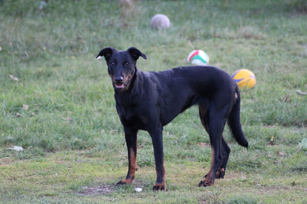 Una du serment des brumes