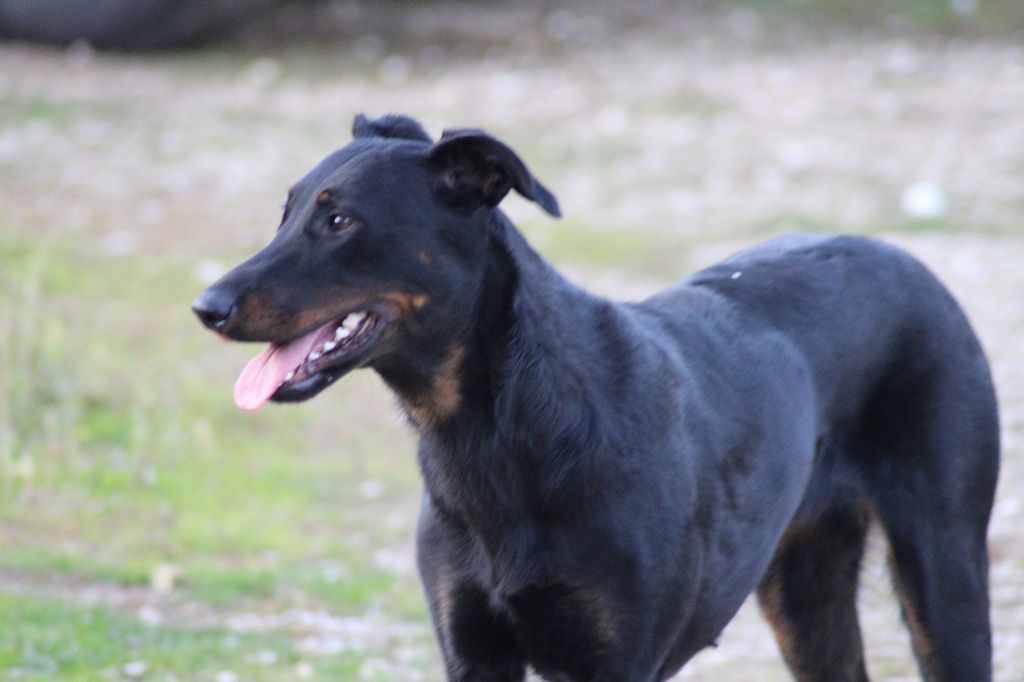 Una du serment des brumes