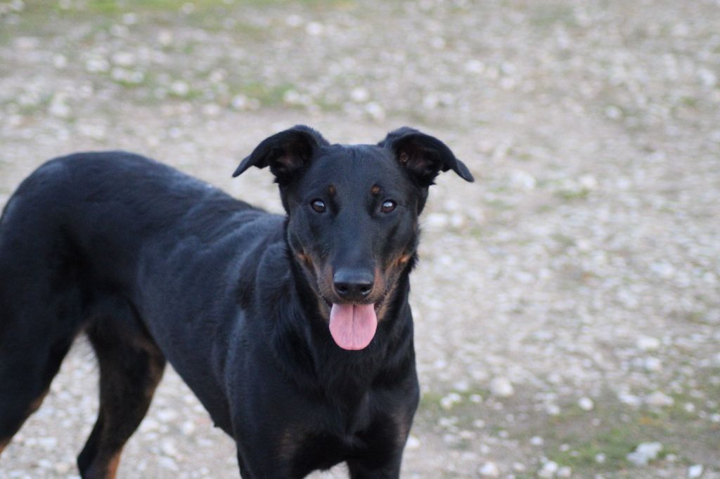 Una du serment des brumes