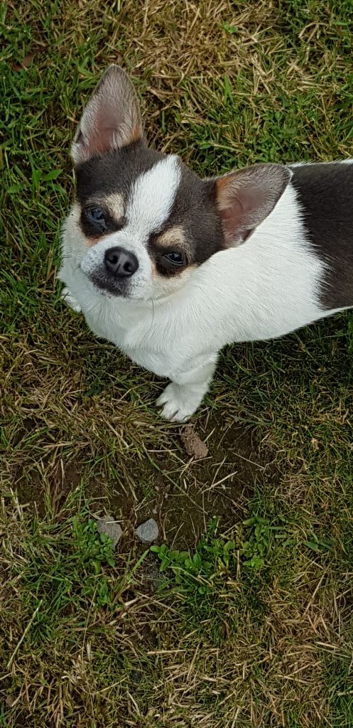 Publication : Du Secret Des Dieux