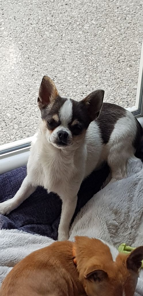 Publication : Du Secret Des Dieux