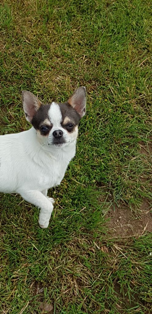 Publication : Du Secret Des Dieux