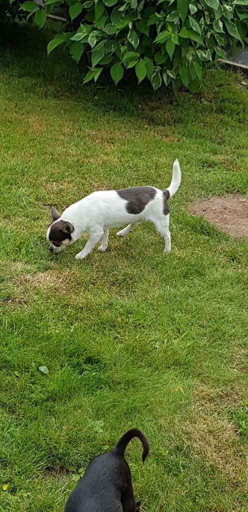 Publication : Du Secret Des Dieux