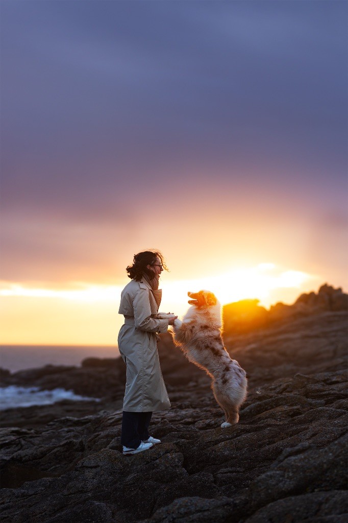 Everest for kodaline & aboreal @ Mystic Fire