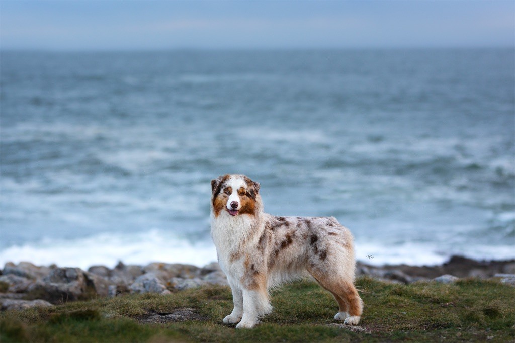 Everest for kodaline & aboreal @ Mystic Fire