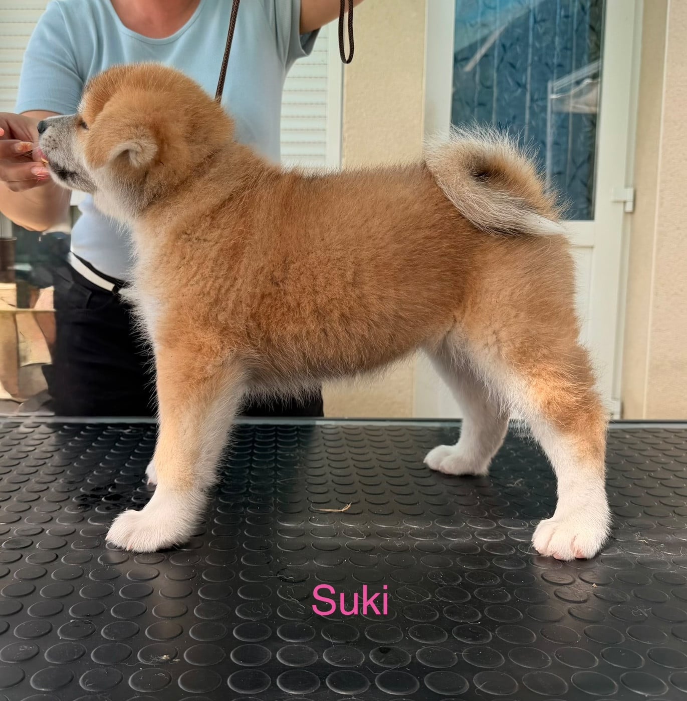 Suki