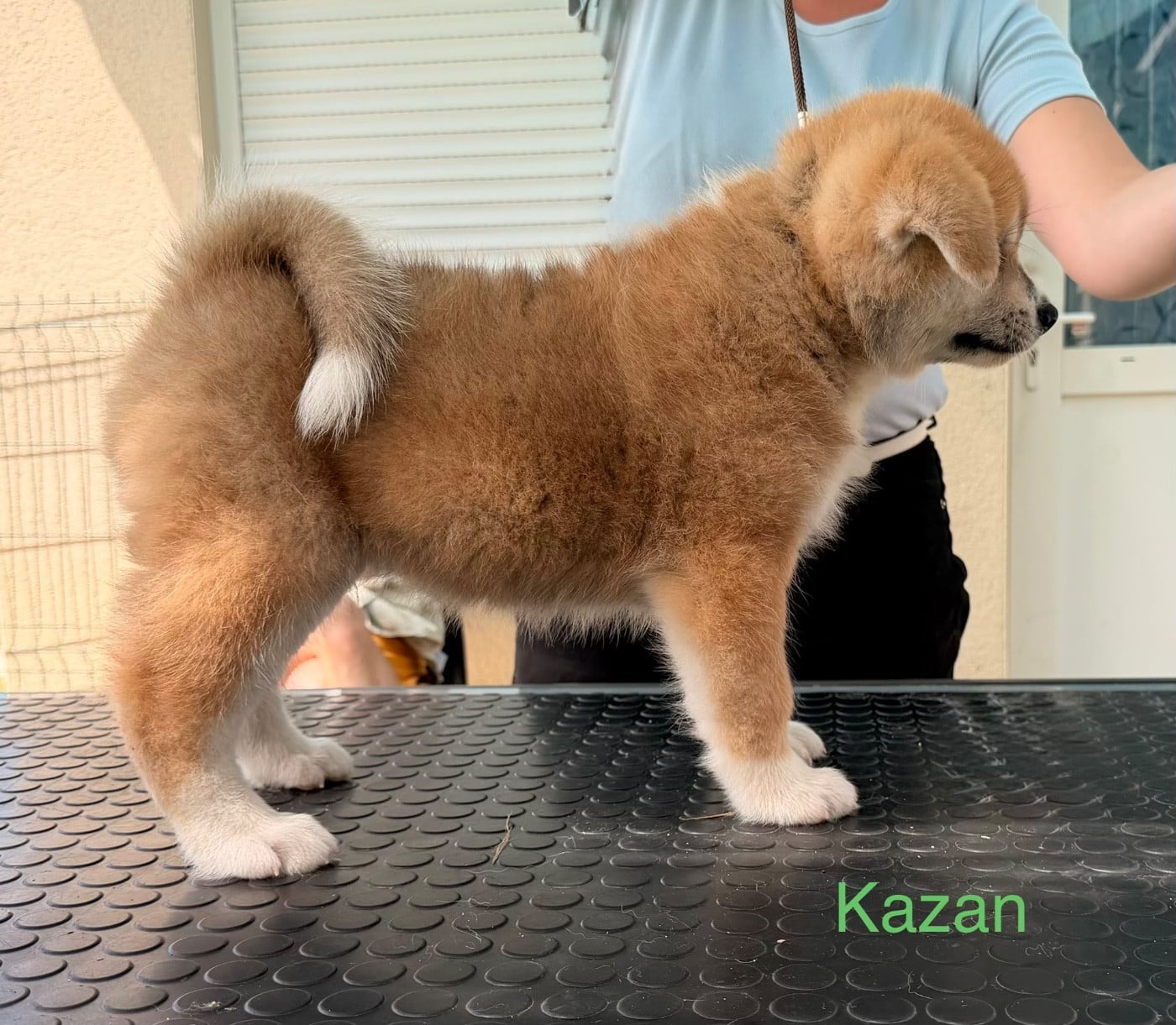 Kazan
