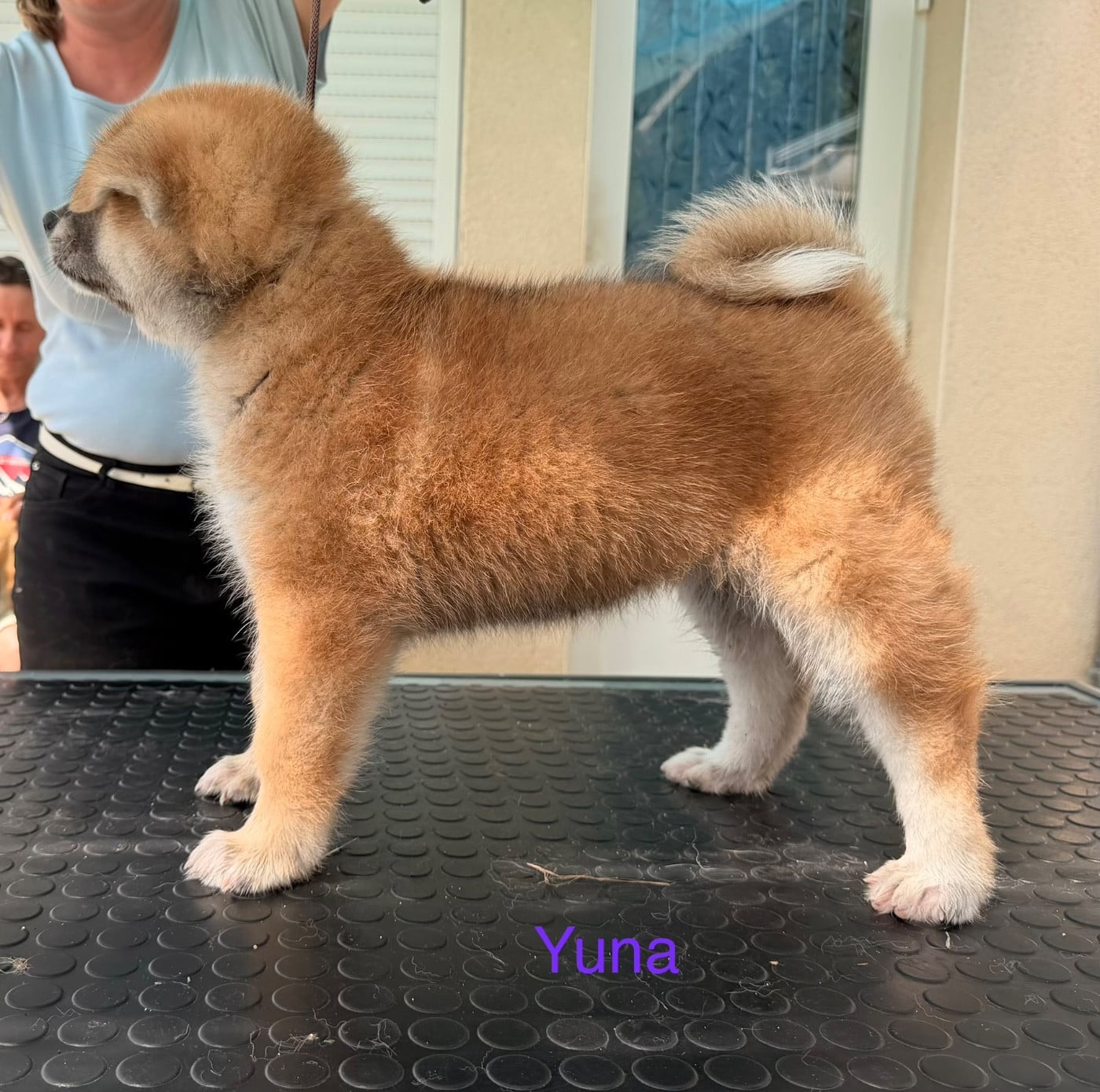 Yuna