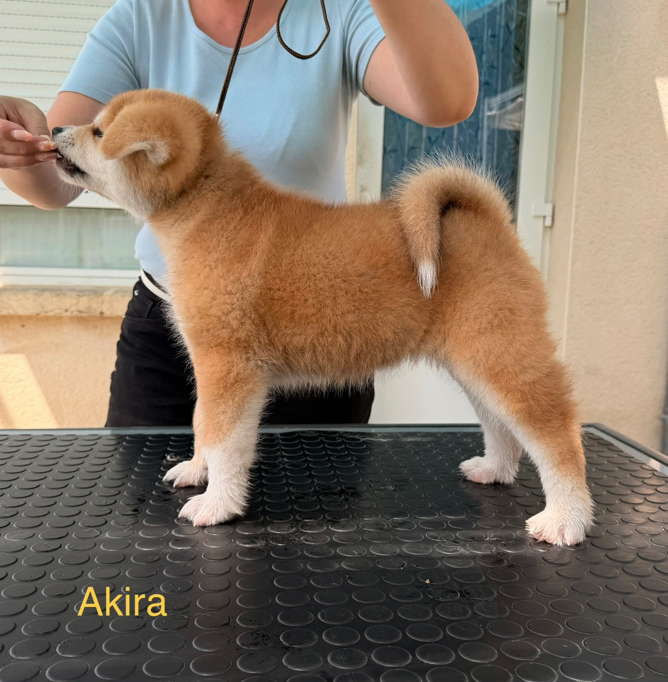 Akira
