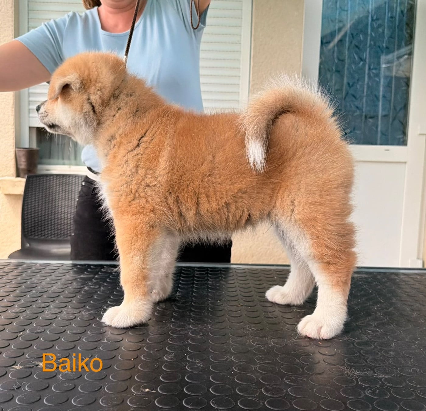Baiko