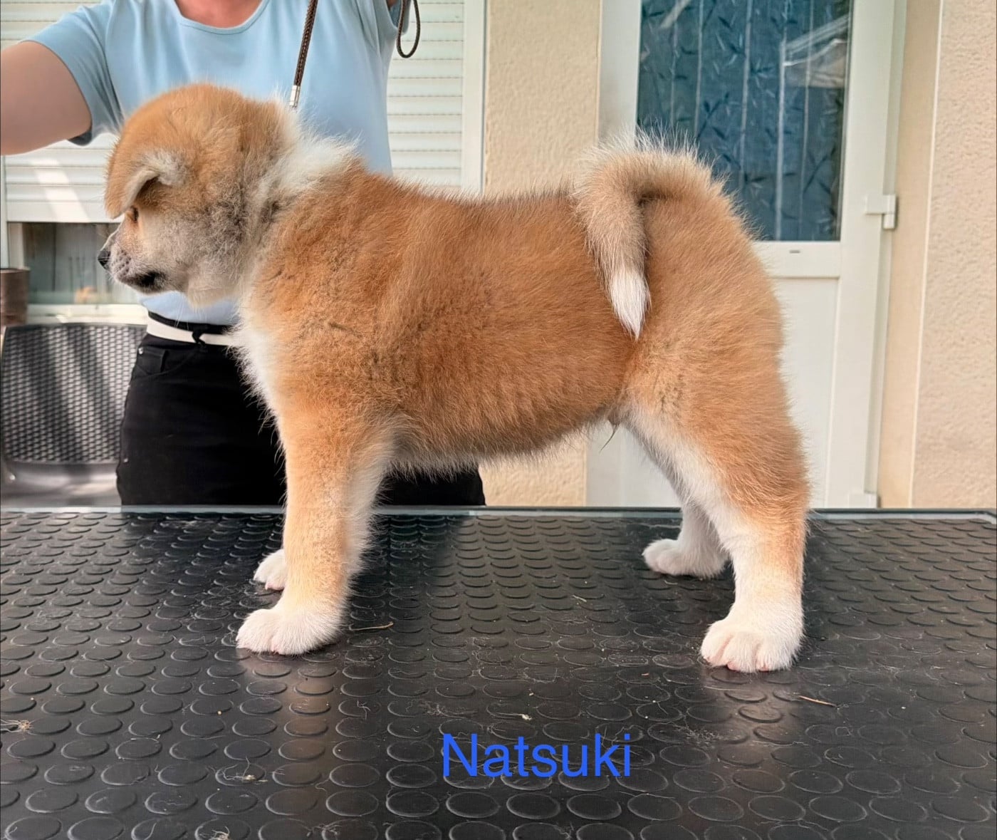 Natsuki