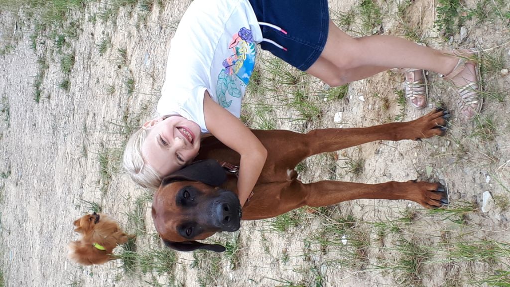 Publication : (Sans Affixe) Auteur : Sébastien Franck