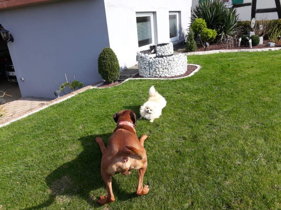 Publication : (Sans Affixe) Auteur : Sébastien Franck