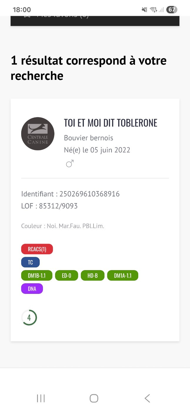 Toi et Moi dit Toblerone (Sans Affixe)