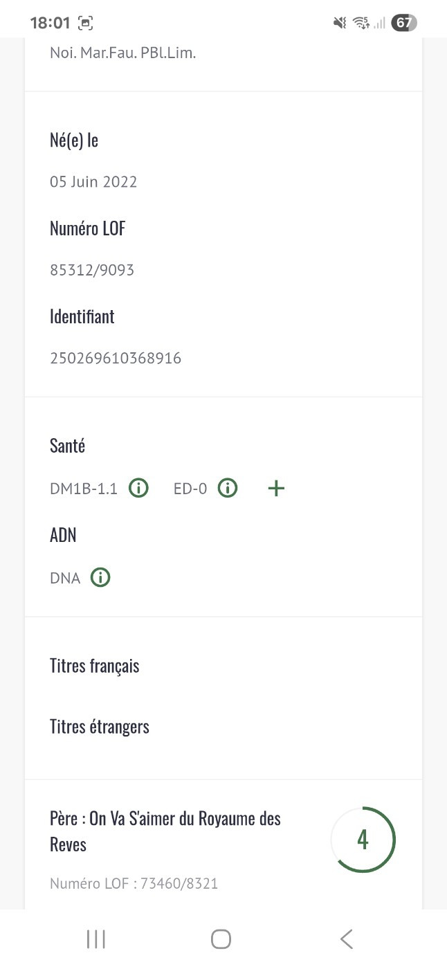 Toi et Moi dit Toblerone (Sans Affixe)