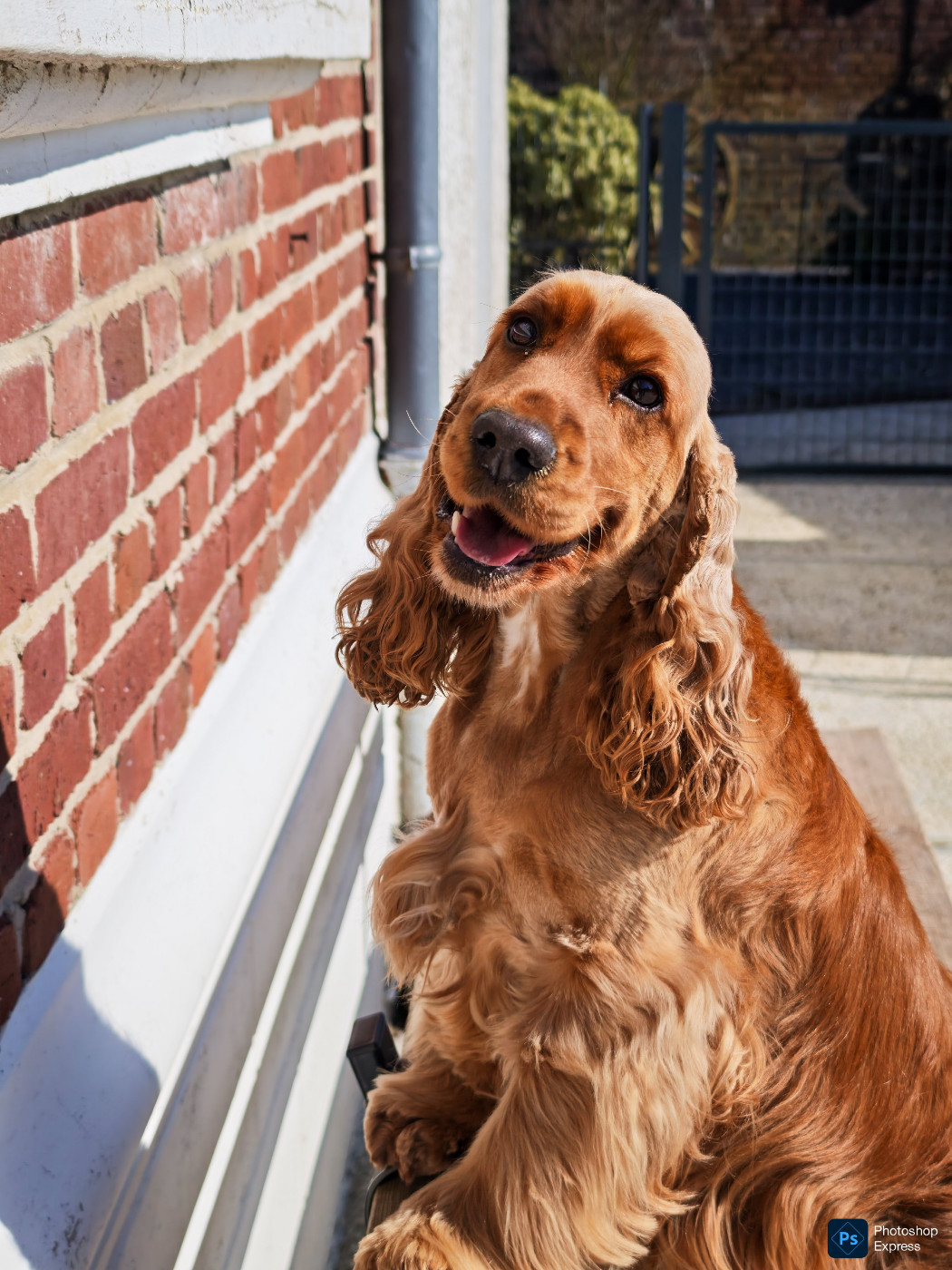 Publication : Of Ortense Memories