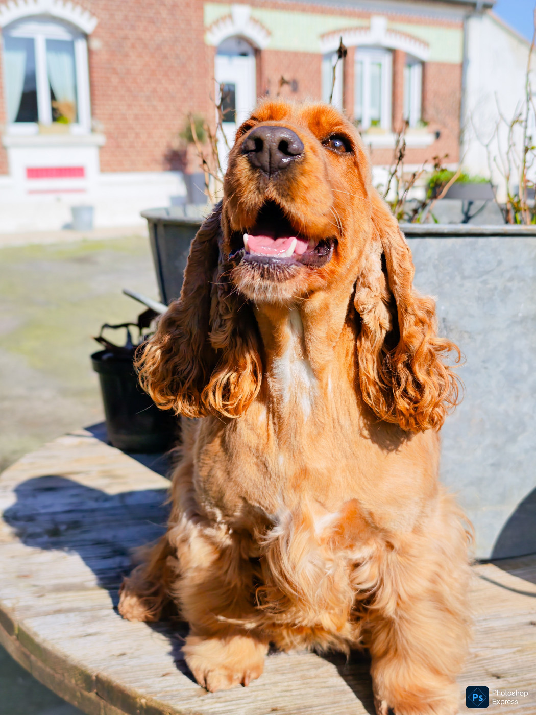 Publication : Of Ortense Memories