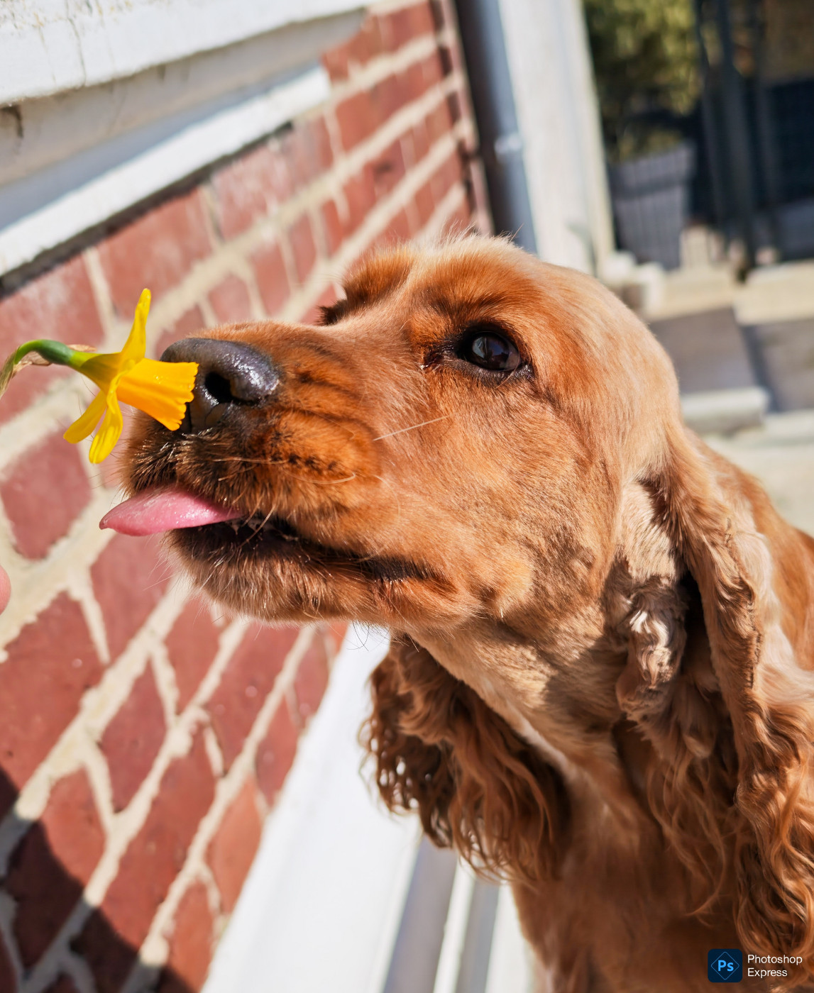 Publication : Of Ortense Memories