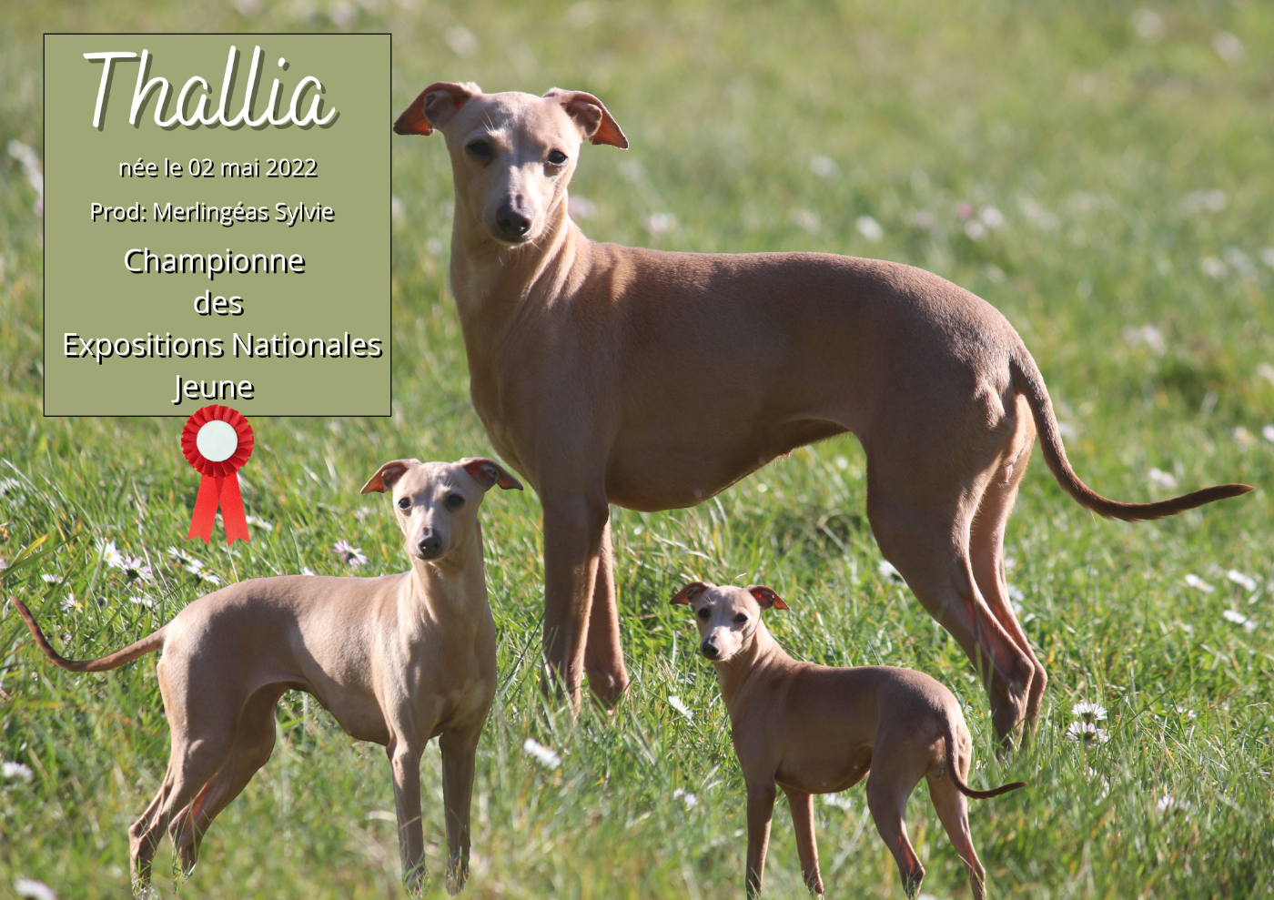 Publication : Du Haut Chignaguet