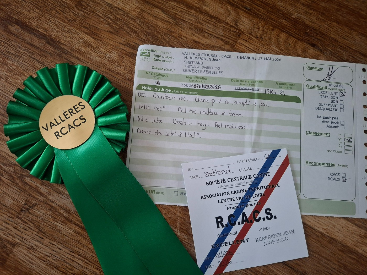 Victoire élégante argentée De La Vallée De Rivendell - 2 ème excellent RCACS en classe ouverte