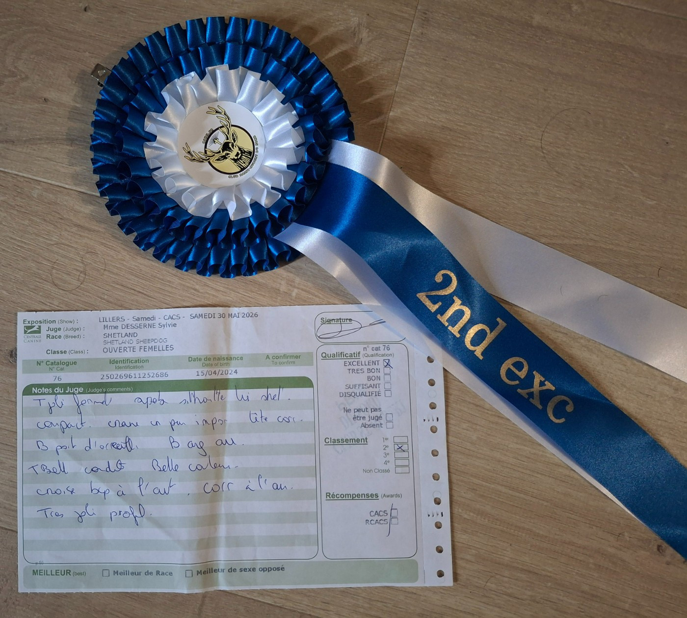 Victoire élégante argentée De La Vallée De Rivendell - 2ème excellent