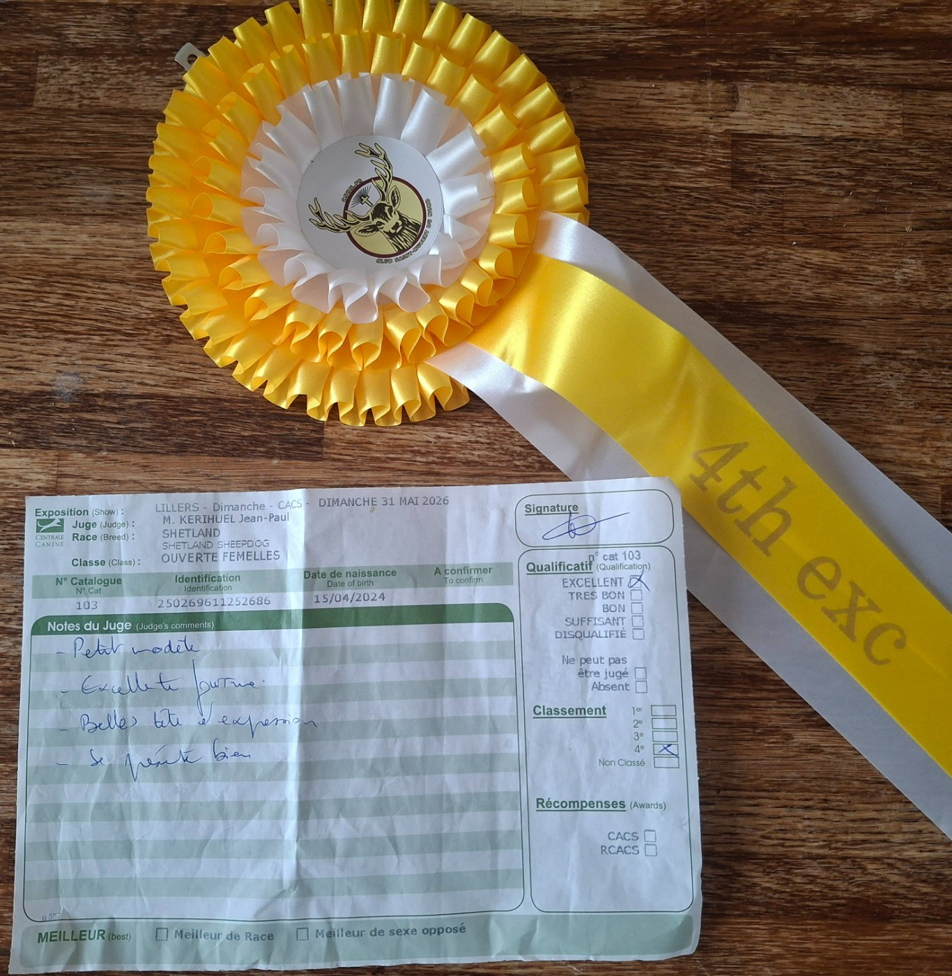 Victoire élégante argentée De La Vallée De Rivendell - 4ème excellent