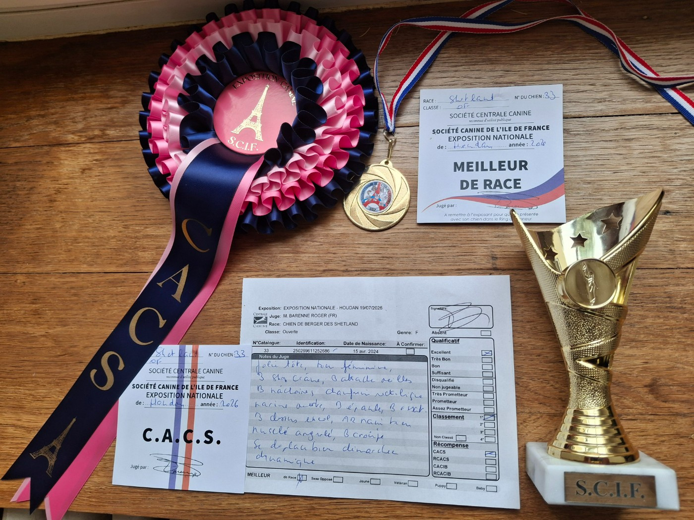 Victoire élégante argentée De La Vallée De Rivendell - 1ère excellent, CACS, meilleur de race, 3ème du groupe 1