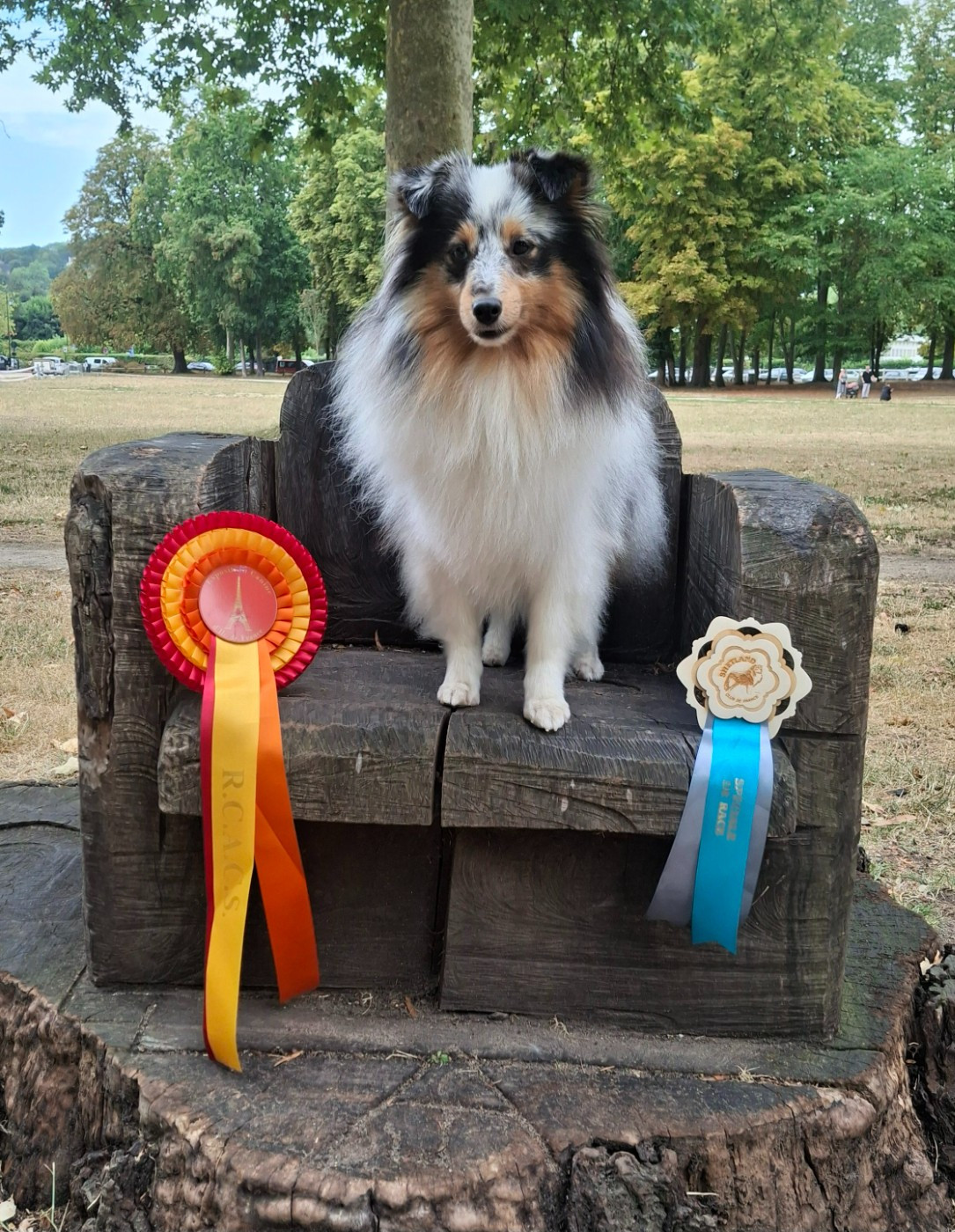 Victoire élégante argentée De La Vallée De Rivendell - 1 ère excellent RCACS