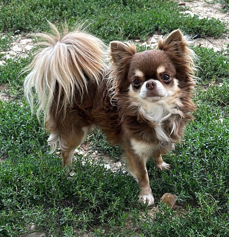 Publication : Des Anges d'Agapi