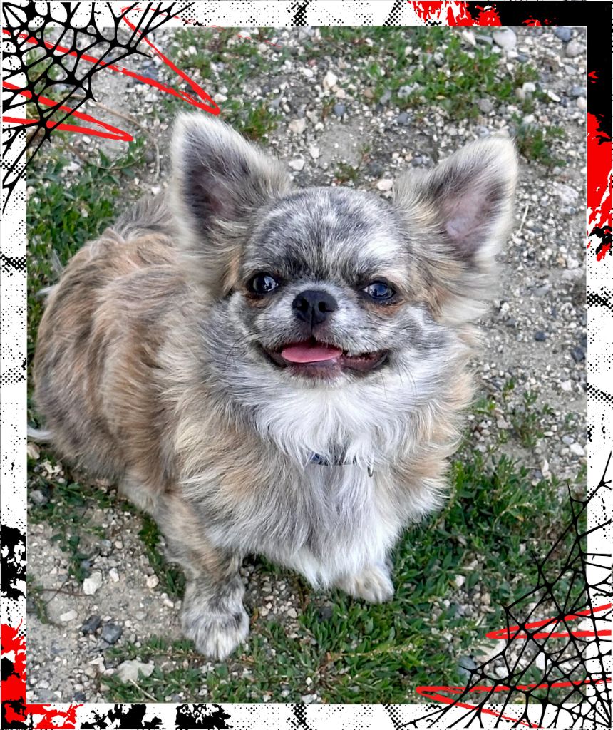 Publication : Des Anges d'Agapi