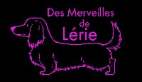Des Merveilles De Lérie