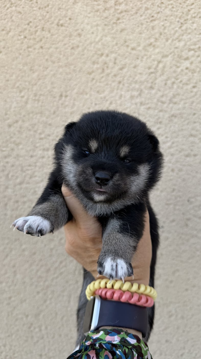 Bébé 1