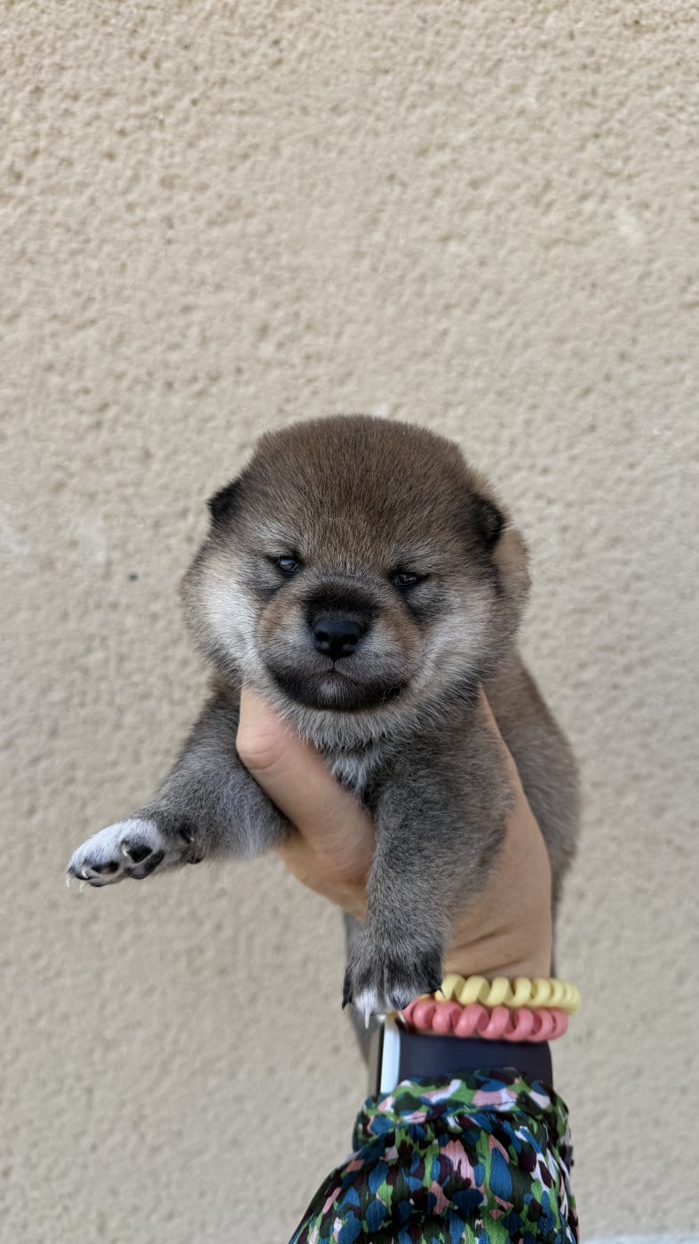 Bébé 2
