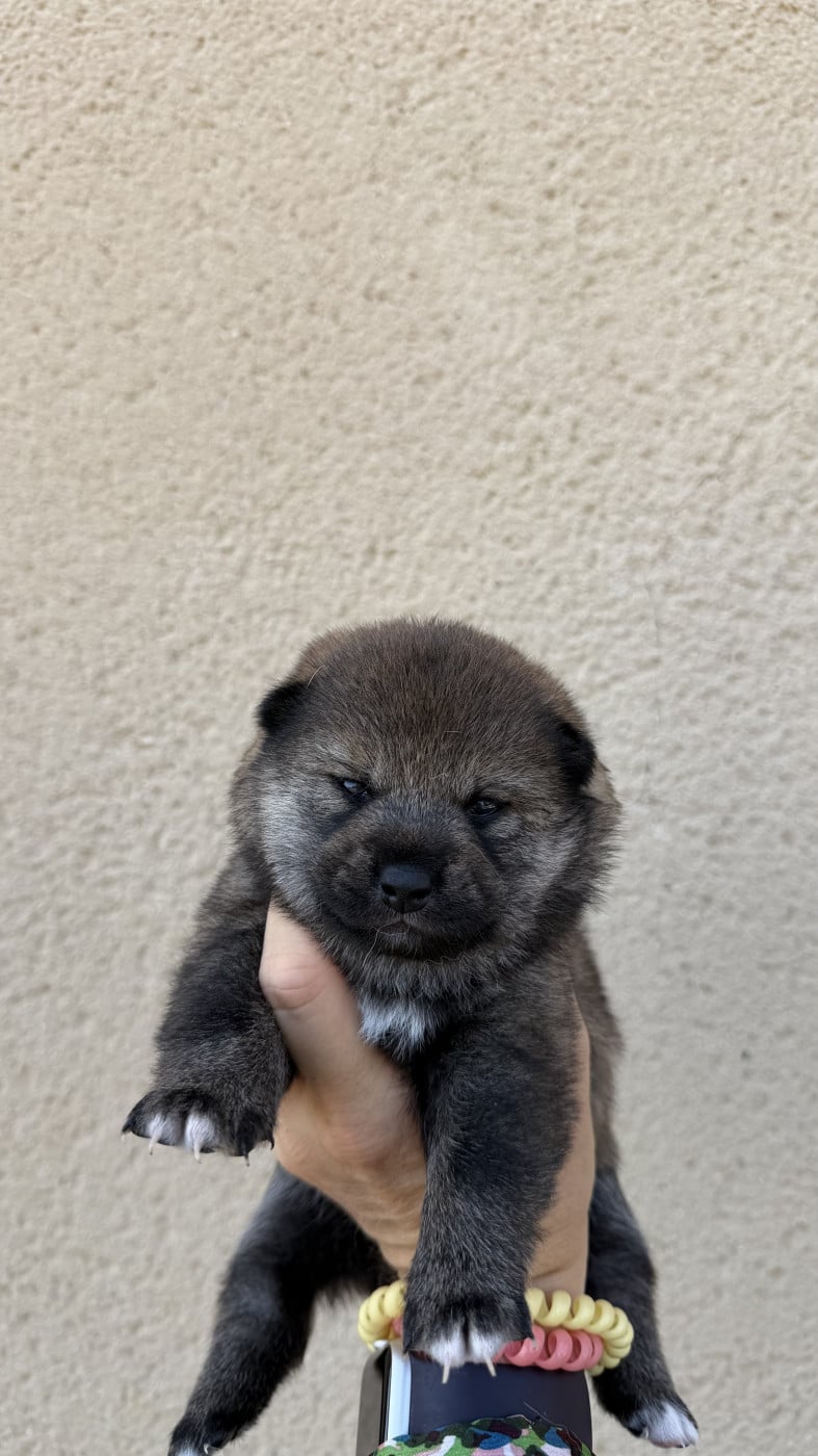 Bébé 3