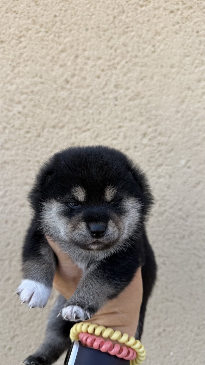 Bébé 4