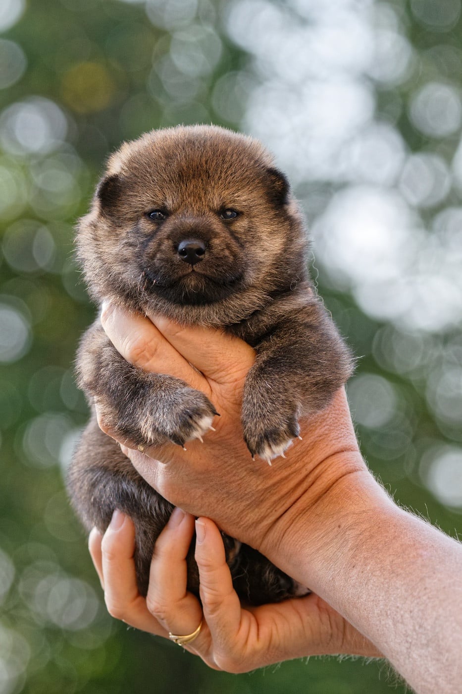 Bébé 3