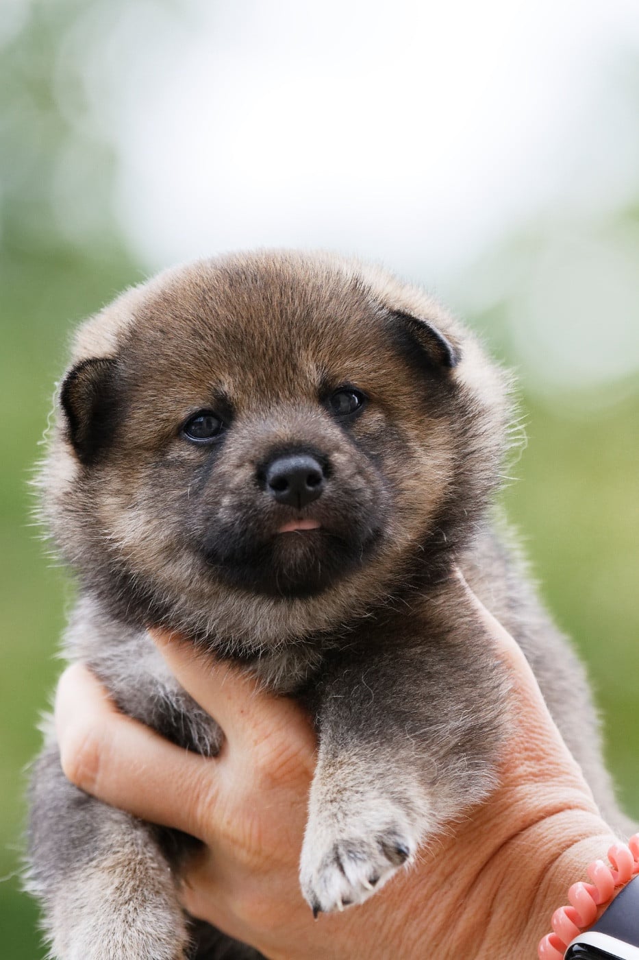 Bébé 3