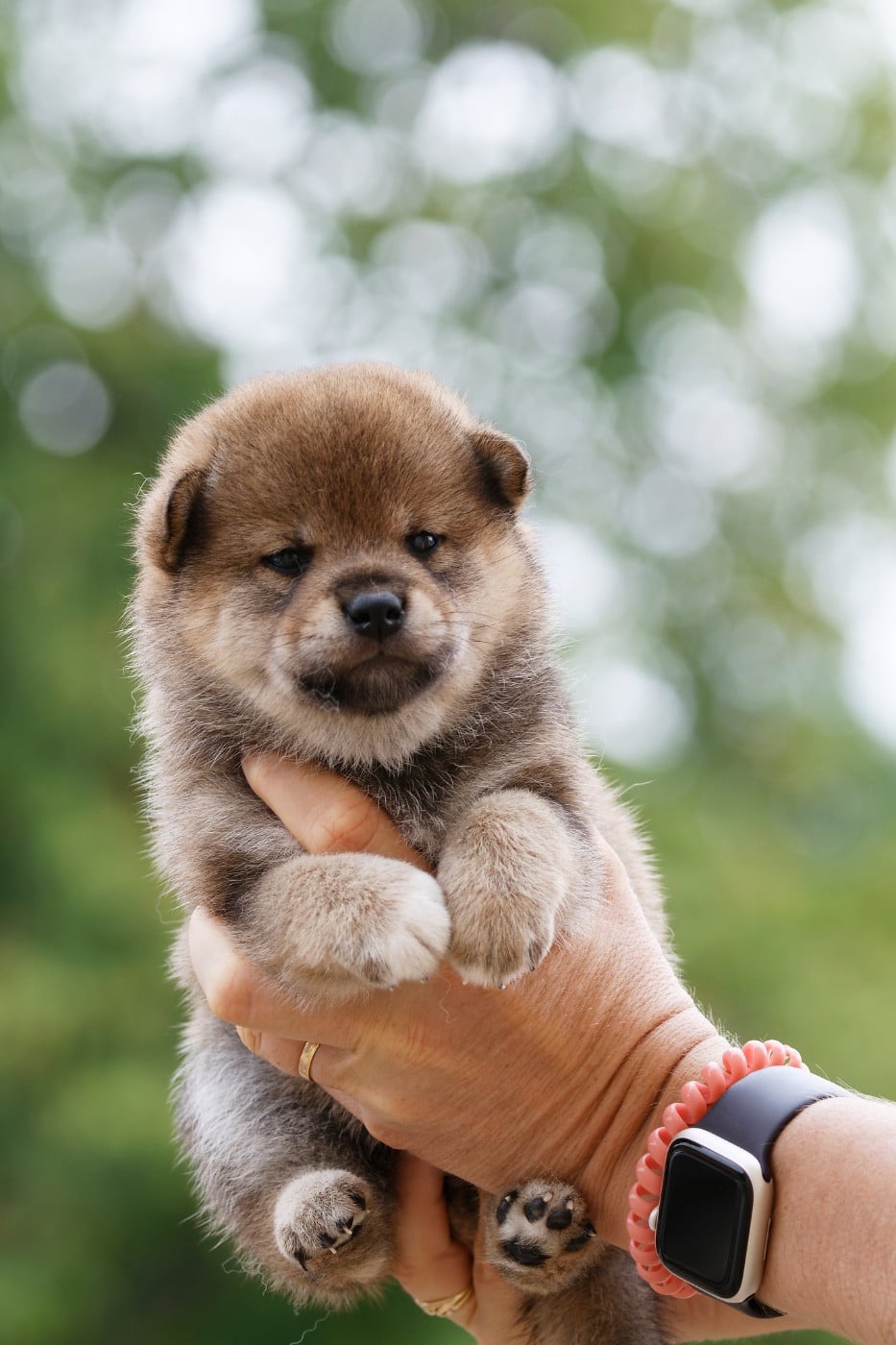 Bébé 2