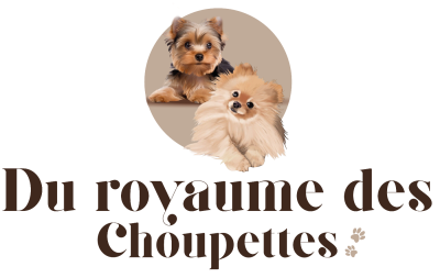 Du Royaume Des Choupettes