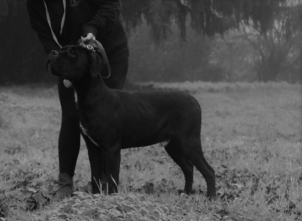 Publication : du Domaine Des Terres Noires