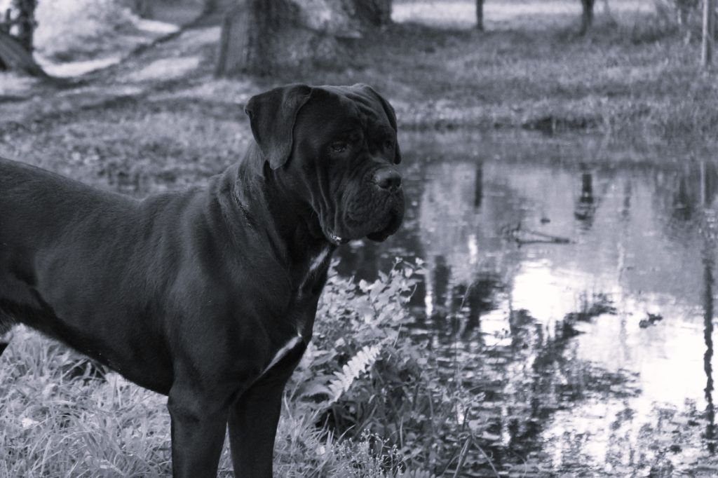 Publication : du Domaine Des Terres Noires