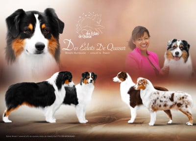 Des Eclats De Quasar