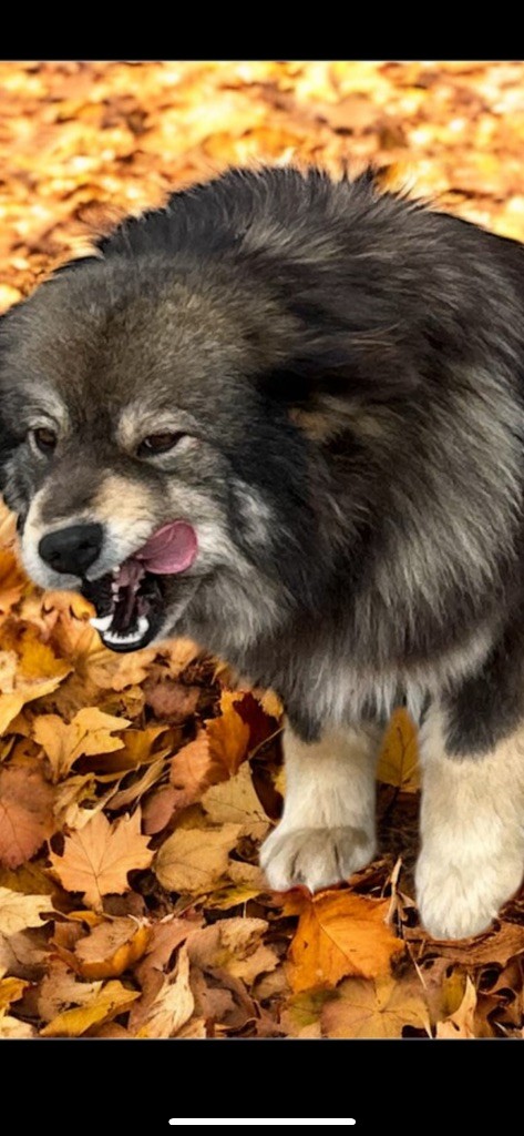 Umy Du Domaine Louchine